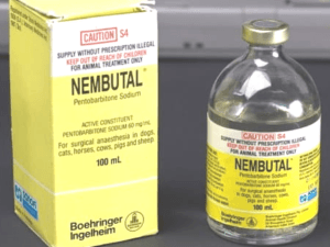 Nembutal Injection